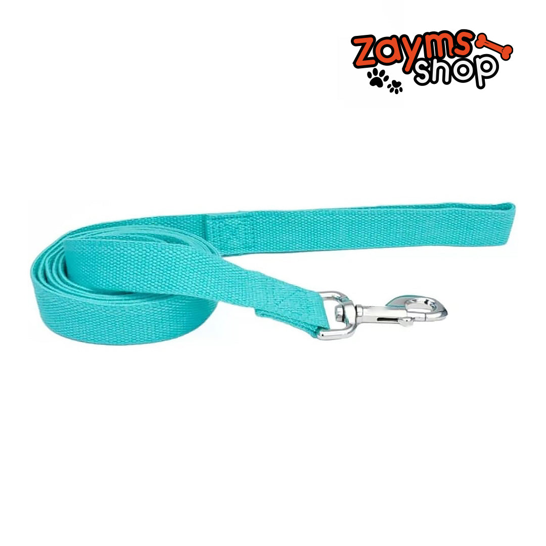 Zayms - Dog Lead Mint Green - 6 feet x 5/8"W